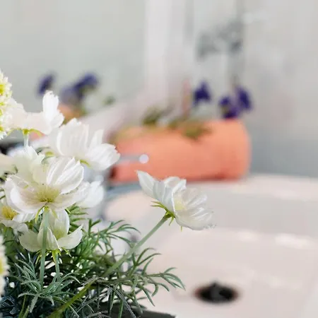 Hébergement de vacances Lanzarote 4 U Arrecife (Lanzarote)